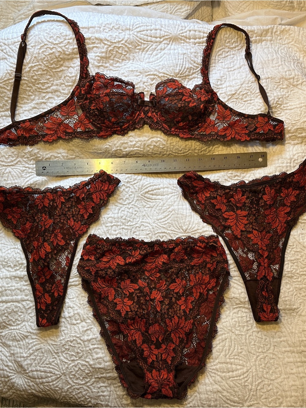 Lise Charmel Red Foliage Lace Underwire Bra 34B and 3 Matching Panties M Set